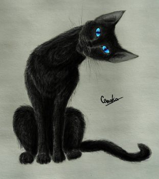 Экстрасенс Черный кот